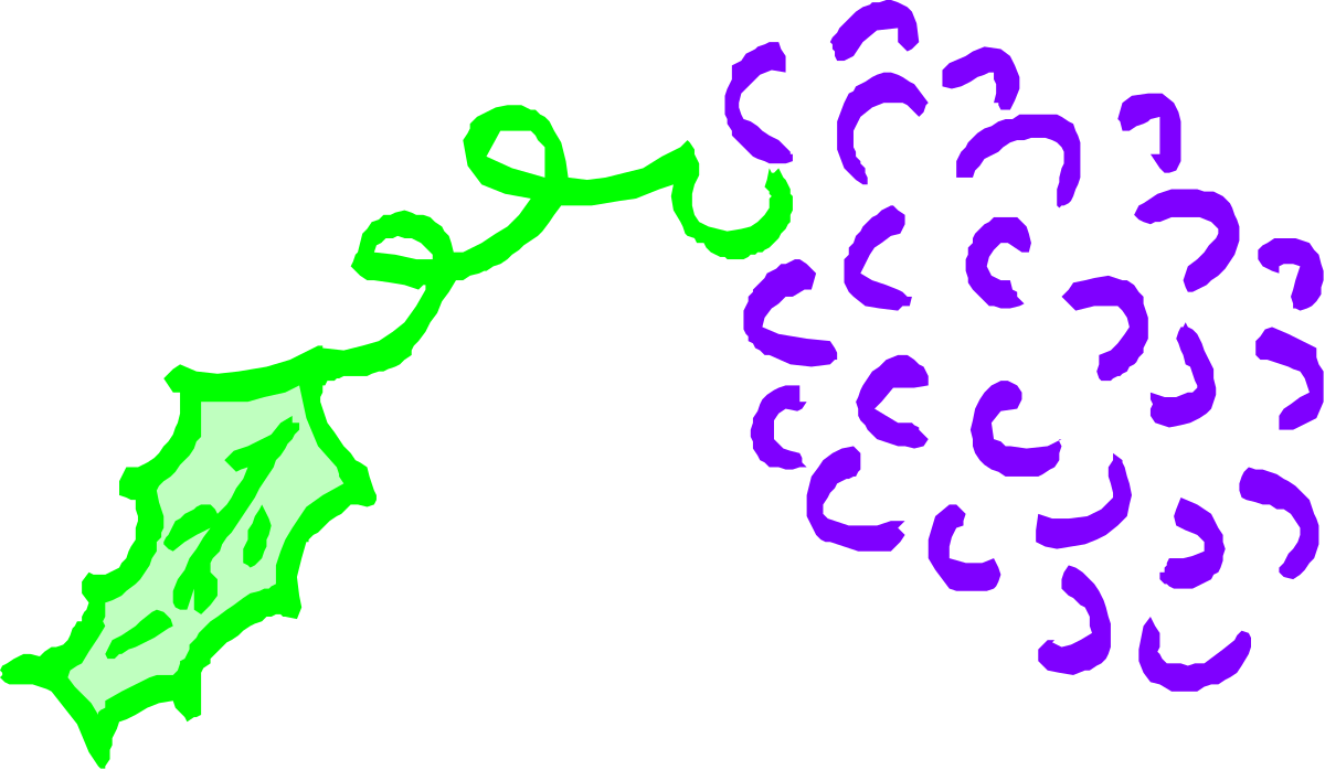 Vibrant Green and Purple Flower Clipart on Black Background