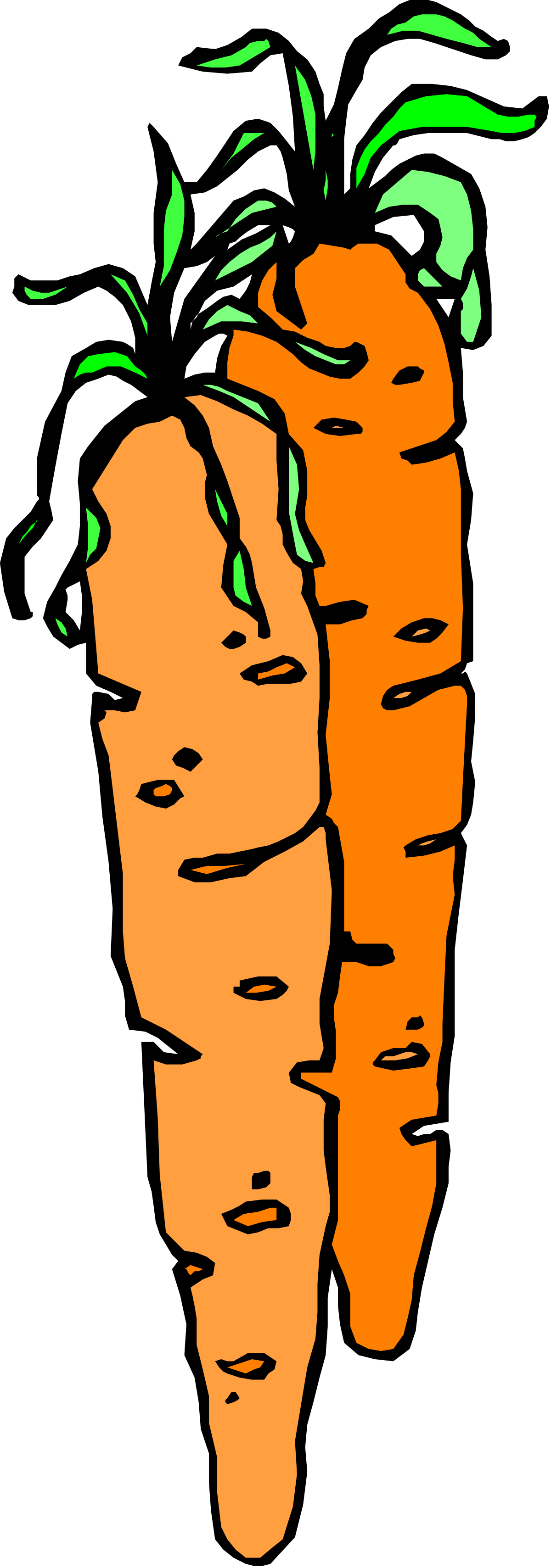 a carrot with a green stem clip art png transparent Carrot with Green Stem Clipart - Fresh and Vibrant Vegetable Illustration