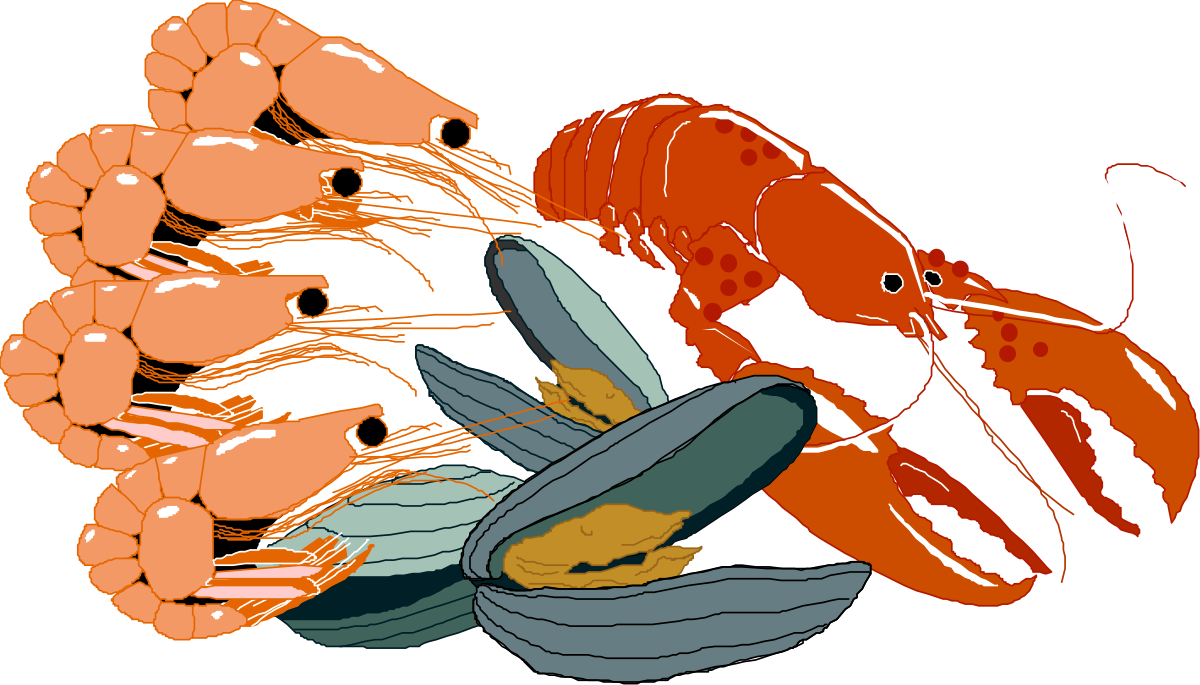 a bunch of shrimp clip art png transparent Delicious Shrimp Clipart Collection for Culinary Creations