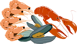 Delicious Shrimp Clipart Collection for Culinary Creations