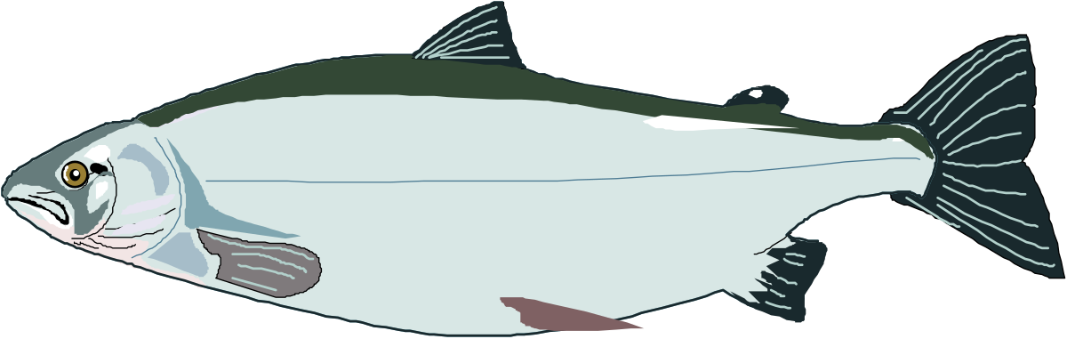 Striped Fish Clipart: Stunning Black and White Design