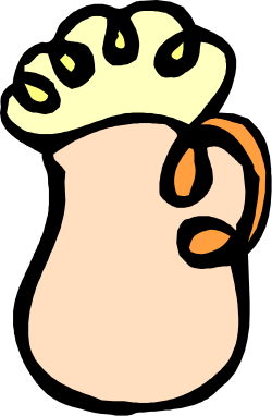 Cartoon Crown on Pitcher Clipart: Fun and Whimsical Illustration