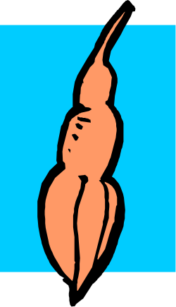 Woman's Torso Clipart with Blue Background - Elegant Vector Art