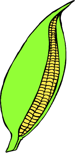 Corn Clipart: Vibrant and Versatile Illustrations for Every Use