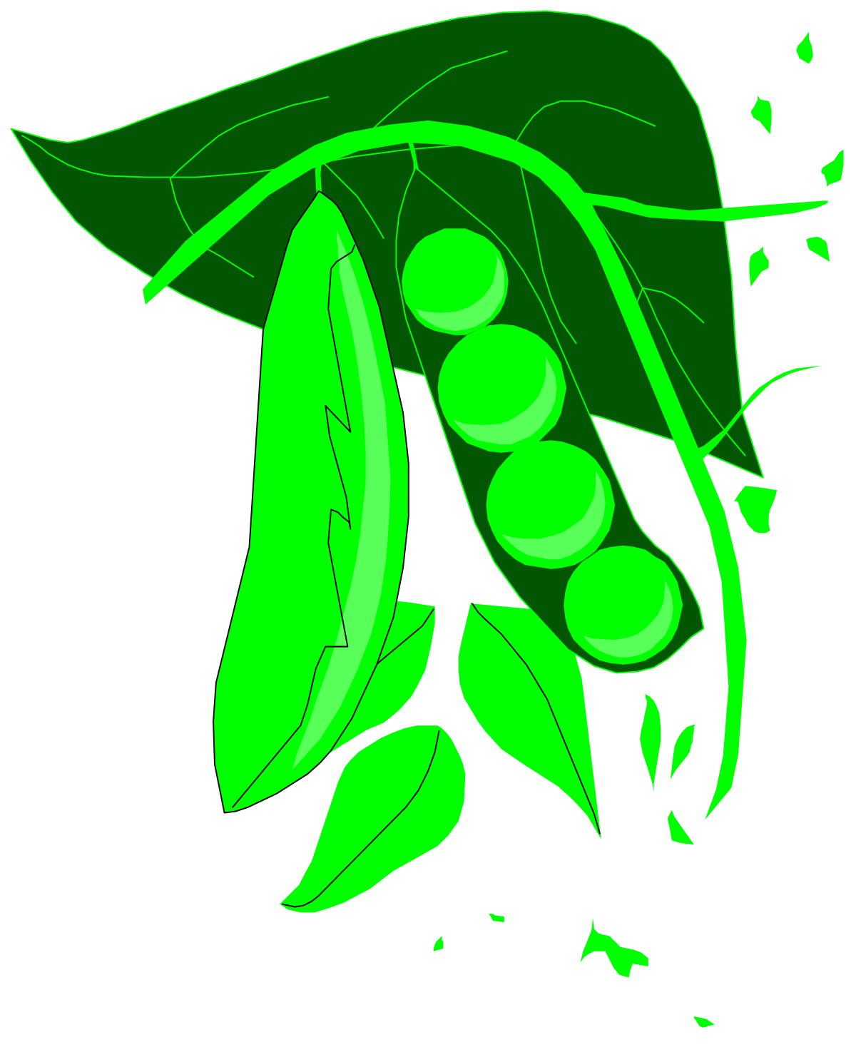 Green Leaf on Black Background - Stunning Clipart for Nature Themes