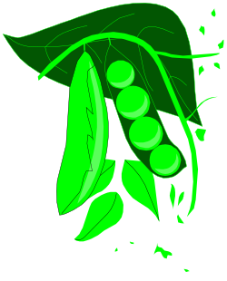 Green Leaf on Black Background - Stunning Clipart for Nature Themes
