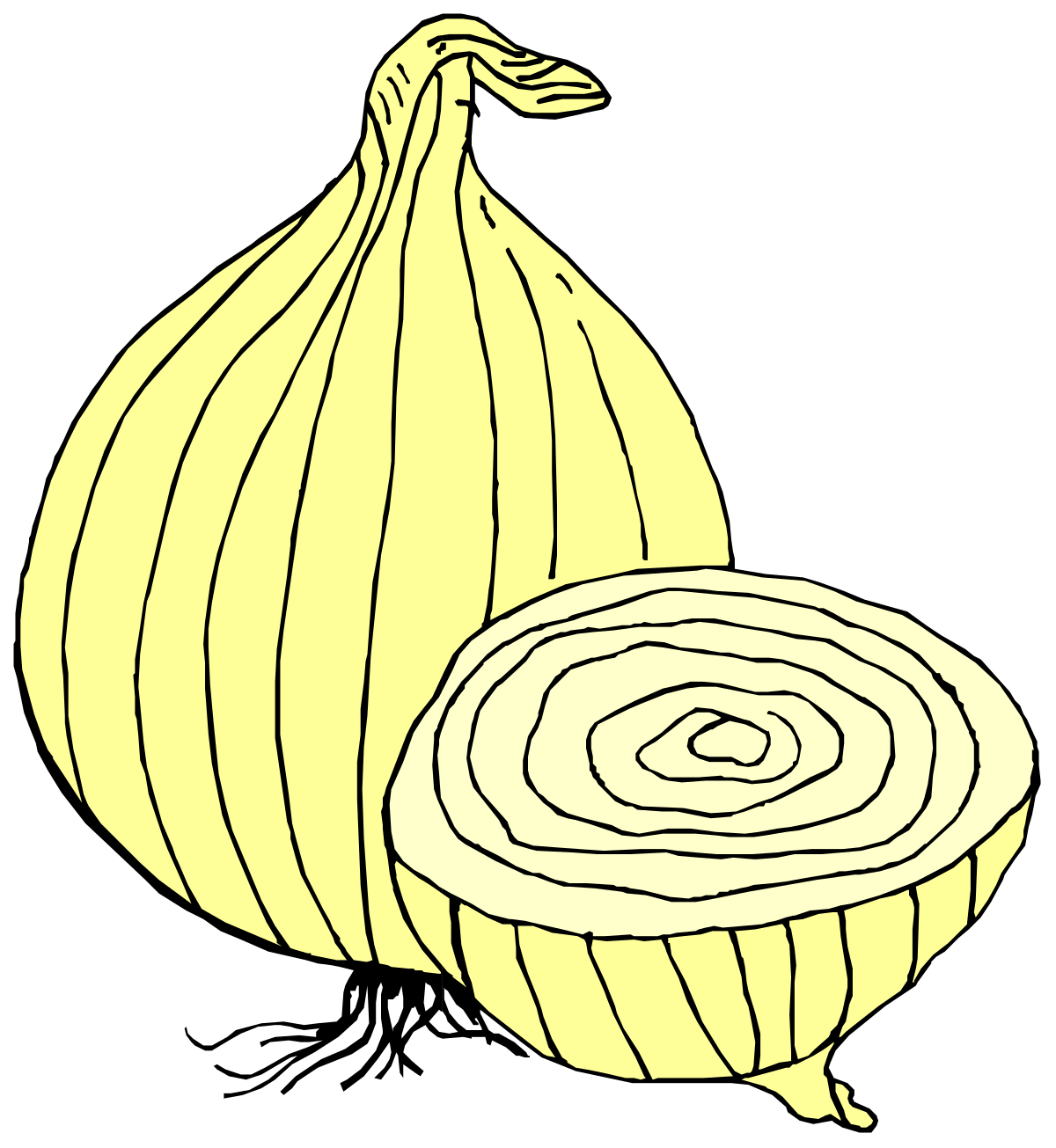 Onion Clipart Collection: Fresh, Organic, and Versatile Visuals