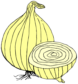 Onion Clipart Collection: Fresh, Organic, and Versatile Visuals