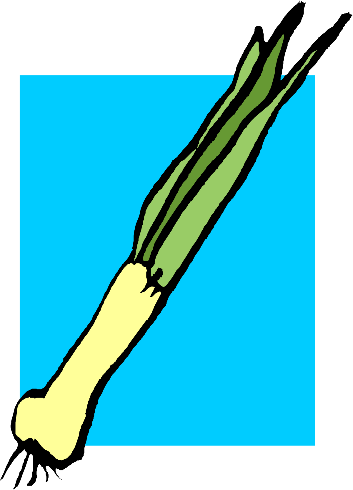 Green and Yellow Carrot Clipart for Fresh Illustrations