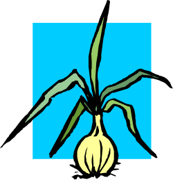 Flower Clipart on Blue Background: Vibrant Floral Designs