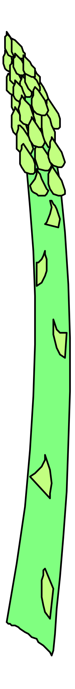 Green Curved Arrow on Black Background - Engaging Clipart for Your Projects