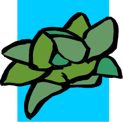 Green Plant with Lush Leaves - Premium Clipart for Nature Lovers