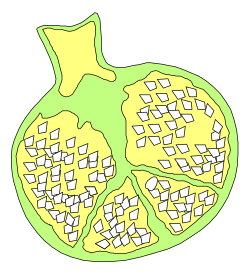 Green Pome with White Squares - Unique Clipart for Creative Projects