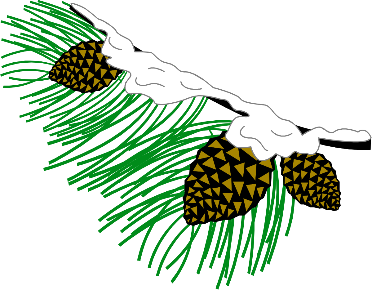 Pine Tree with Pine Cones Clipart for Creative Projects