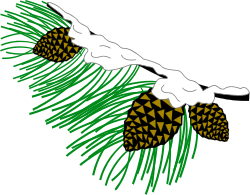 Pine Tree with Pine Cones Clipart for Creative Projects