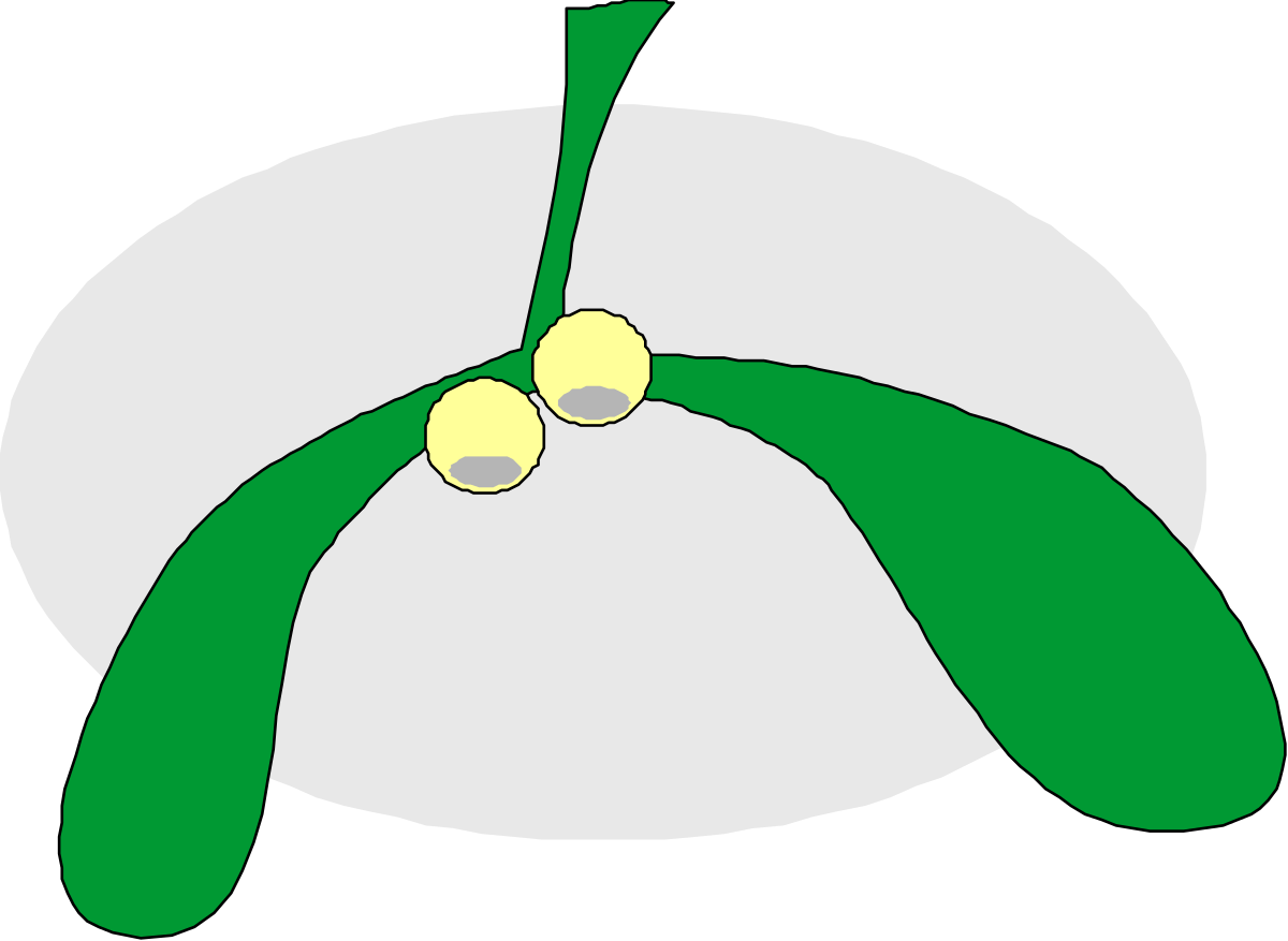 Green Leaf with White Circle Clipart for Eco-friendly Designs