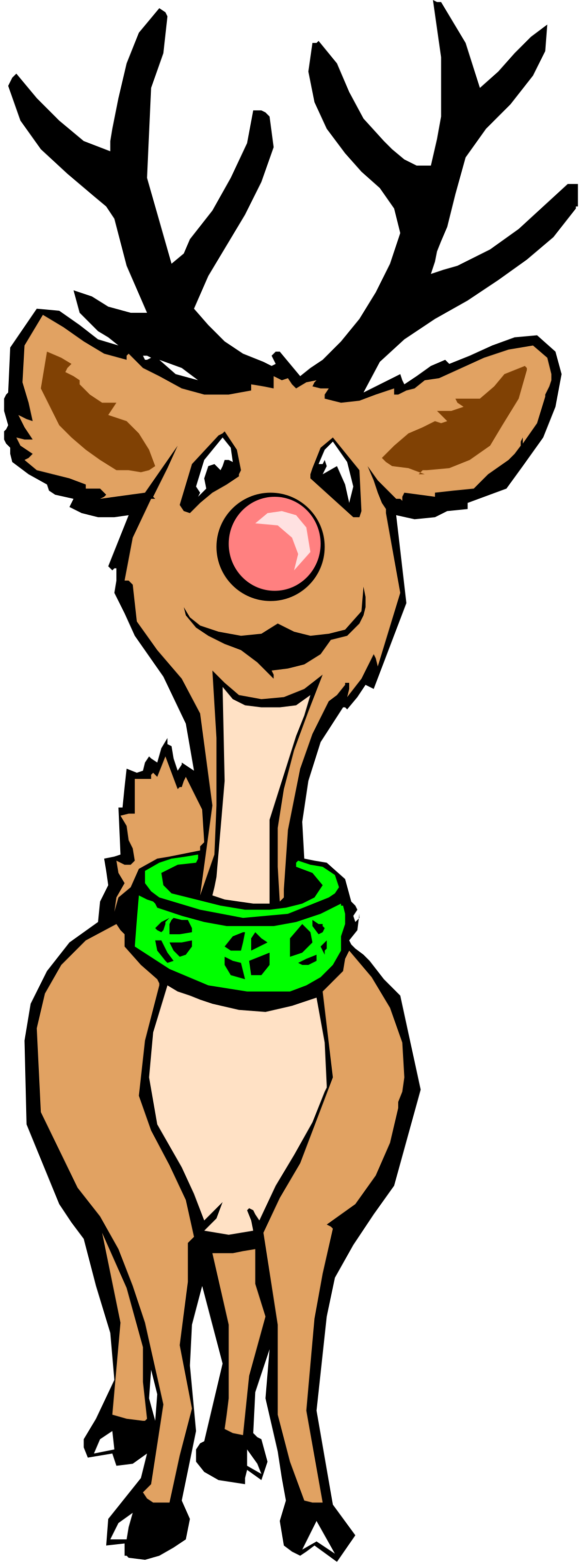 Cartoon Kangaroo with Green Collar Clipart