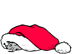 Cat in Santa Hat Sleeping on Ground - Festive Clipart for Holiday Designs