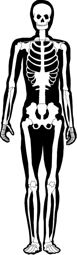 Skeleton Silhouette Clipart Against Black Background