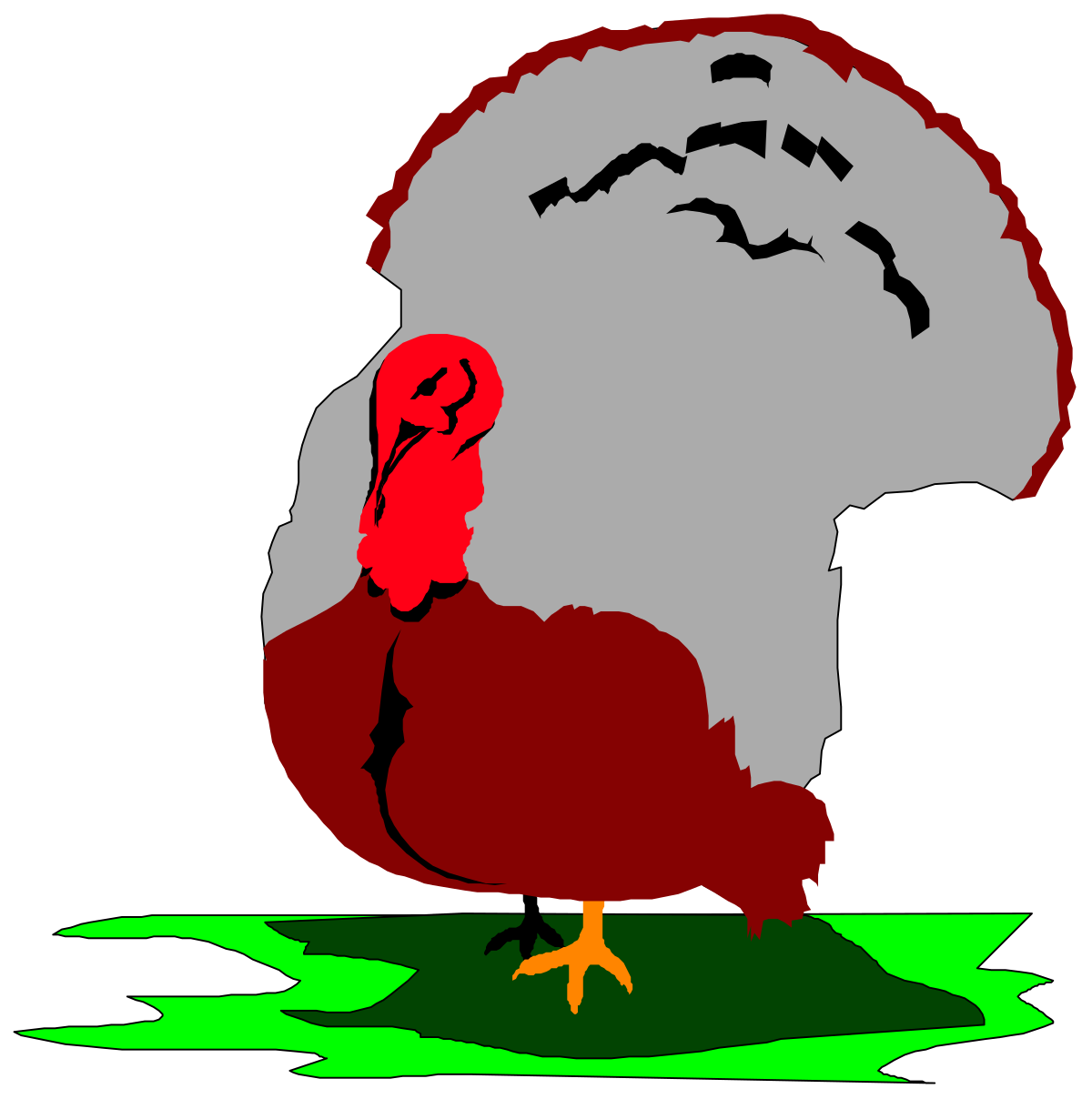 Chicken Standing on Puddle of Water Clipart - High Quality SVG Illustration