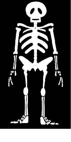Skeleton Silhouette Against Black Background - Striking Clipart for Your Designs