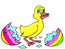 Broken Egg and Yellow Duck Clipart - Adorable and Playful Wildlife Illustration