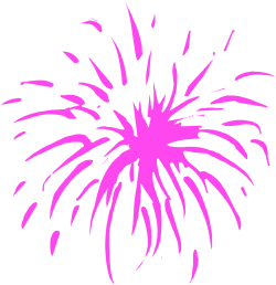 Pink Fireworks on Black Background - Stunning Clipart for Celebrations