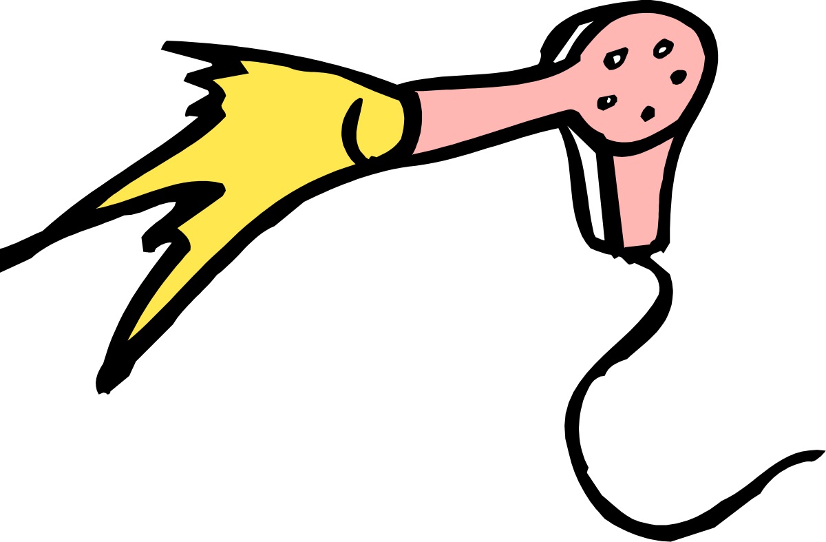Pink and Yellow Bird Flying Through the Air - Vibrant Clipart Collection