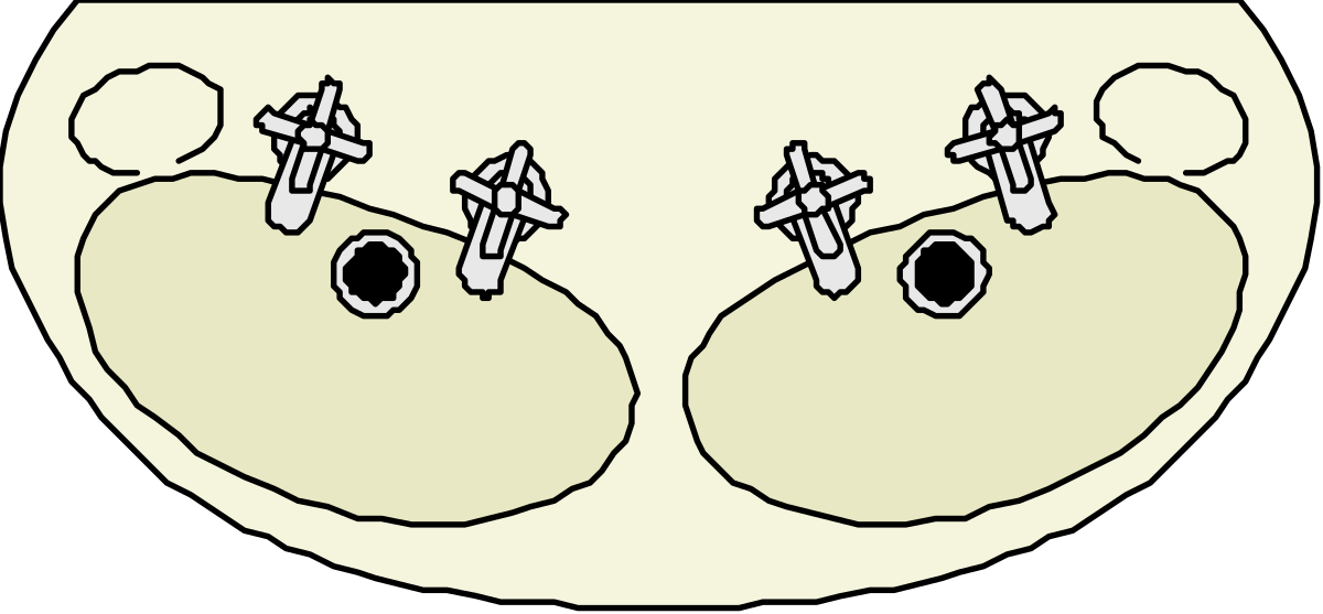 Kidneys Illustrations: Cross Section Clipart for Healthcare and Education