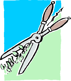 Scissors on Green Background - Versatile Clipart for Creative Projects