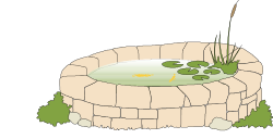 Pond Scene with Plant Clipart: Serene Nature Elements