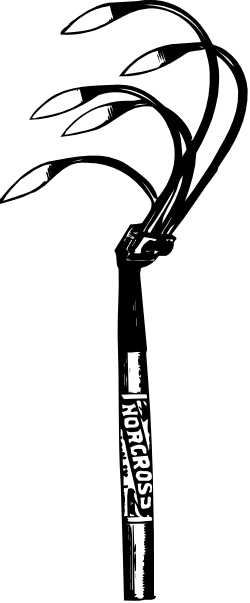 Bird Clipart: Stunning Black and White Illustrations