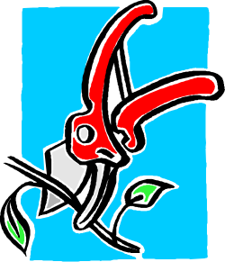 Red and Black Bird Flying Through Blue Sky - Vibrant Clipart Scene