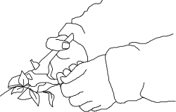 Black and White Beard Man Clipart - Stylish Monochrome Portraits